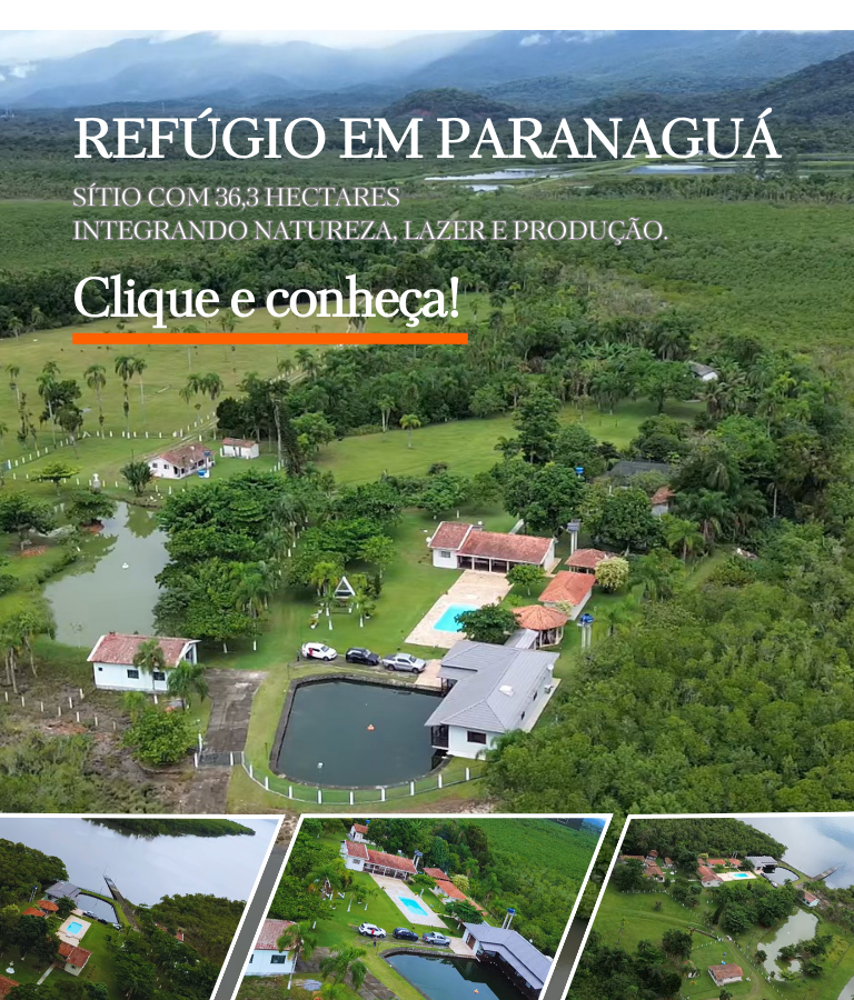 Refúgio em Paranaguá